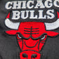 90s NBA LOGO 7 Chicago Bulls Jacket Size XL