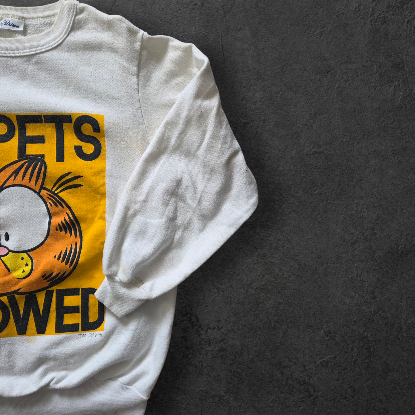 1978 Garfield "No Pets Allowed" crewneck sweater