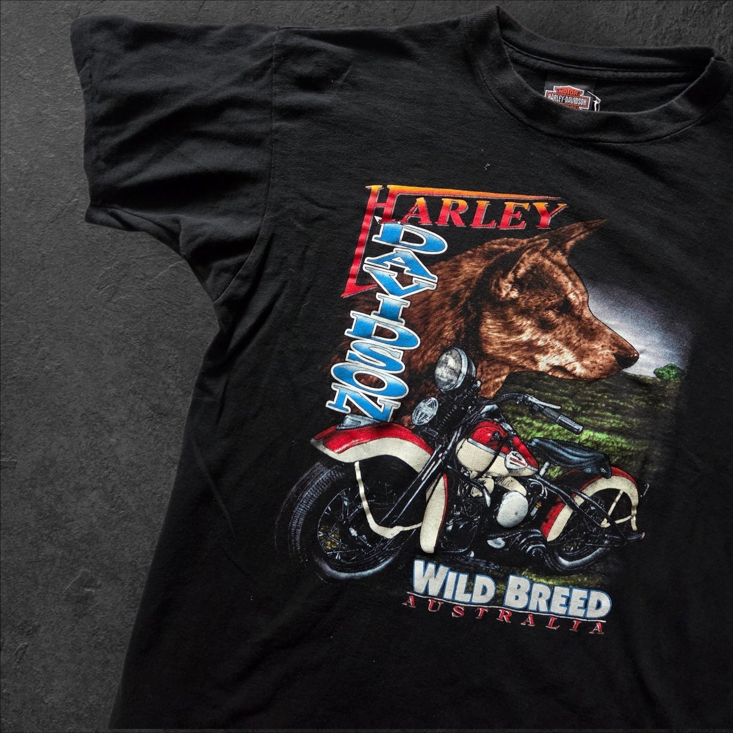 90s Wild Breed Harley Davidson tee