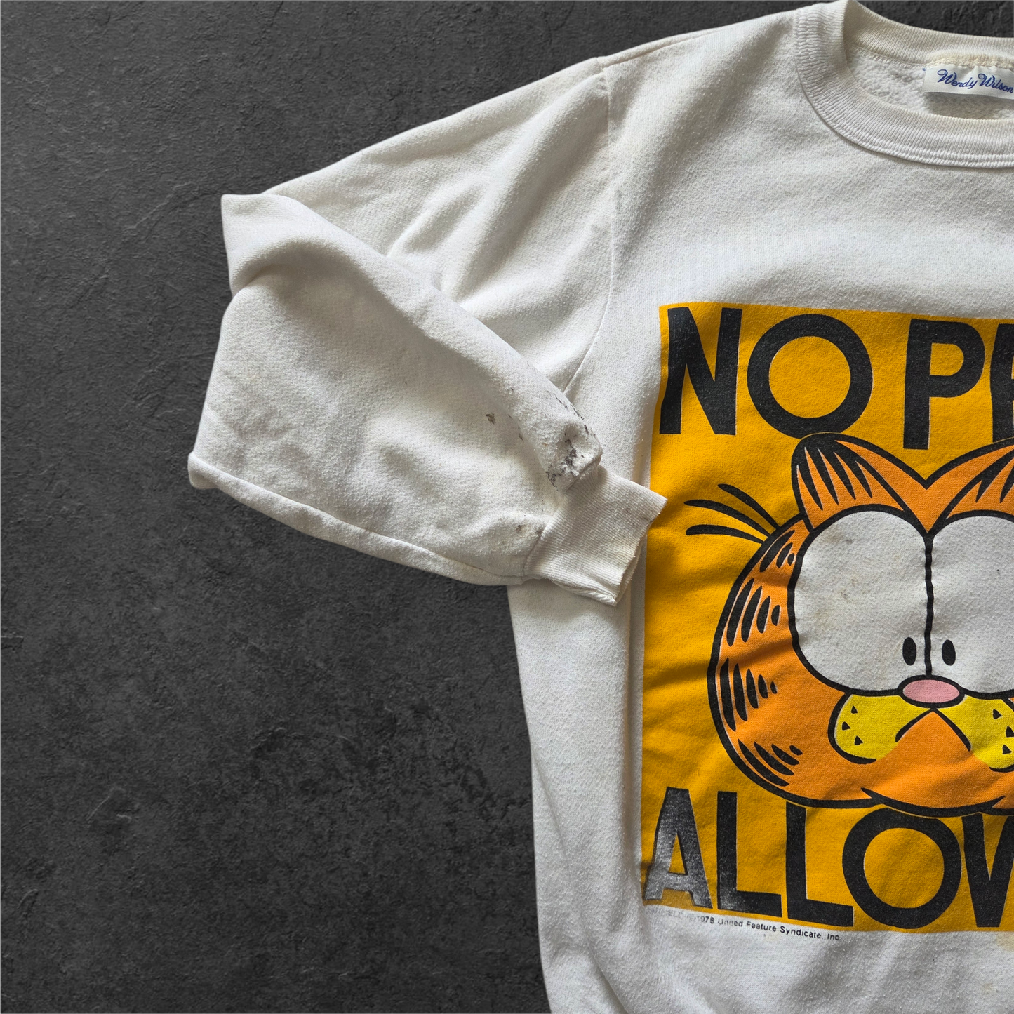 1978 Garfield "No Pets Allowed" crewneck sweater
